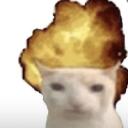 FUNDIZ Discord Server Icon