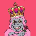 Monkey Prodigys.🐒