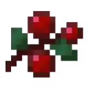 BerryCivs
