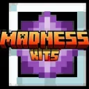 MadnessMC Private Logs
