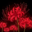 🥀 ﹒ 𝑨kii x O'tacos あきい