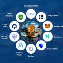 Wallets and Exchanges HELP   Discord Server Icon