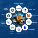 Wallets and Exchanges HELP🌟 Discord server icon