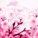 ⋆₊˚✦ʚ 𝓈𝒸𝓇𝓎𝓋𝑒𝓇𝓈𝑒 ɞ✦˚₊⋆