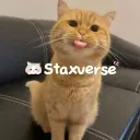 StaxVerse