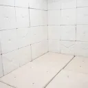 The Asylum