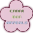 📨 : /carat ban appeals