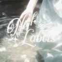 NXL LABELS ˚₊۶ৎ˙⋆