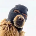 SKI MASK DOG
