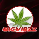 BigVibzz