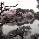 Rain Day — Serveur Discord