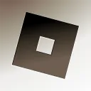 Roblox Donation