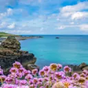 Ikona serwera ˜”°•  🍃🌸 Ocean Spokoju 🌸🍃•°”˜