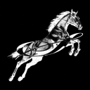 SKITZO Discord server icon