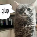 Braylens Sol's RNG Server