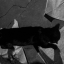 /٩٩٩ Discord server icon