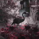 Arcadia Discord server icon