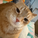 Sam's Mansion Discord server icon