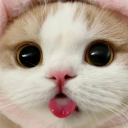 random silly crib avatar