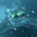 The Pit of Doom and Despair