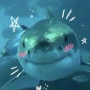 Shef Fan Club Discord server icon