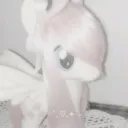 ୨୧ Yannas Wrldd 𐙚⋆🐰🥥