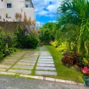 pure's server discord icon