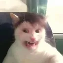 mudanza
