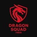 𝘿𝙧𝙖𝙜𝙤𝙣 𝙎𝙦𝙪𝙖𝙙 🐉  #800 Discord server icon