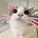 Fweak's safe haven🌀