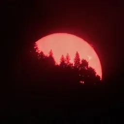 The Divine Comedy — мониторинг Discord сервера, статистика и рейтинг