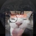 Andisco's Lost Media Archival Server Discord Server Icon
