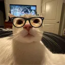 Chat & stuff