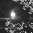 ୨⎯ yonaka ⎯୧ Discord server icon