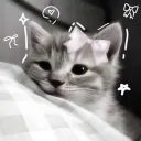 ୨⎯ yonaka ⎯୧ discord icon
