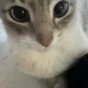 Toe bean<3's server