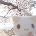 ,    :   ୨୧    ﹏   /  heartfelt