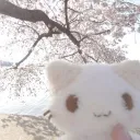 ,    :   ୨୧    ﹏   /  heartfelt