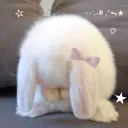 SNOWBIT
