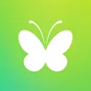 Flit | Support