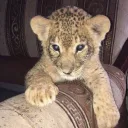 1 mil by 2030 Discord server icon