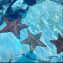 Ocean bliss 🌊✨ Discord server icon