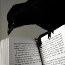 The Crows Library icon