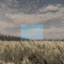 "The Last Frontier"
