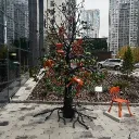 Shalava land (Yurumi)