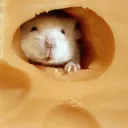 The Cheeze Block