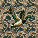 Ram Ranch