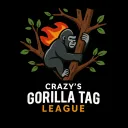 CGTL | VR ESPORTS | Season 1