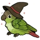 server for parrots [русский]