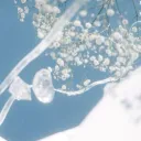 ◠◠　　𝒶𝓊𝓇𝑒𝓁𝒾𝒶 　₊　☁